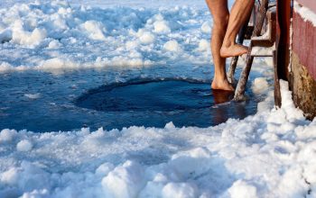 Ledo vonios istorija