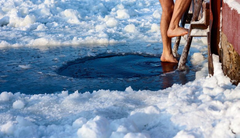 Ledo vonios istorija